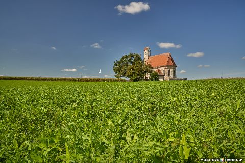 Gemeinde Tacherting Landkreis Traunstein St. Alban Kirche Peterskirchen Landschaft (Dirschl Johann) Deutschland TS